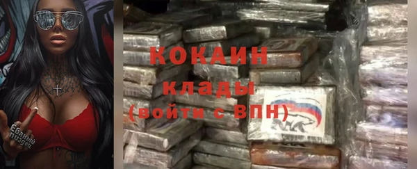 сатива Пестово