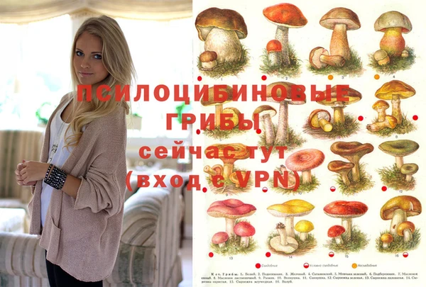 скорость Аркадак