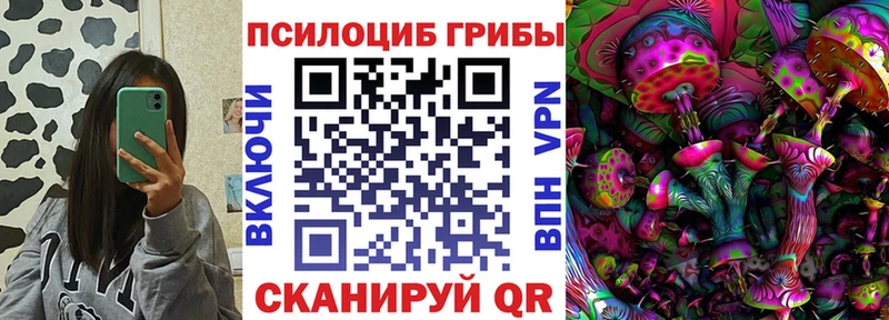 hydra онион  Тайга  Псилоцибиновые грибы ЛСД 