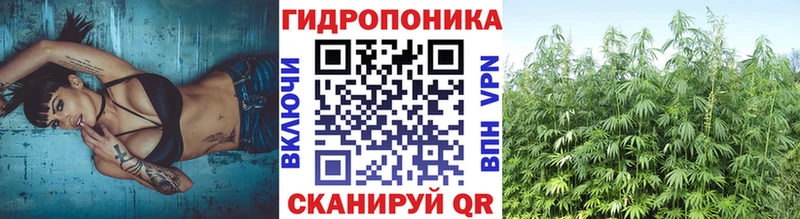 ссылка на мегу сайт  дарк нет официальный сайт  Каннабис сатива  Тайга 
